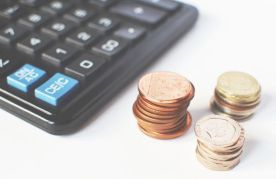 Obraz: 2020-03/kip.jpg